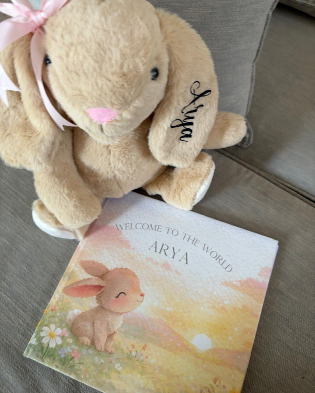 Welcome to the world book with bunny