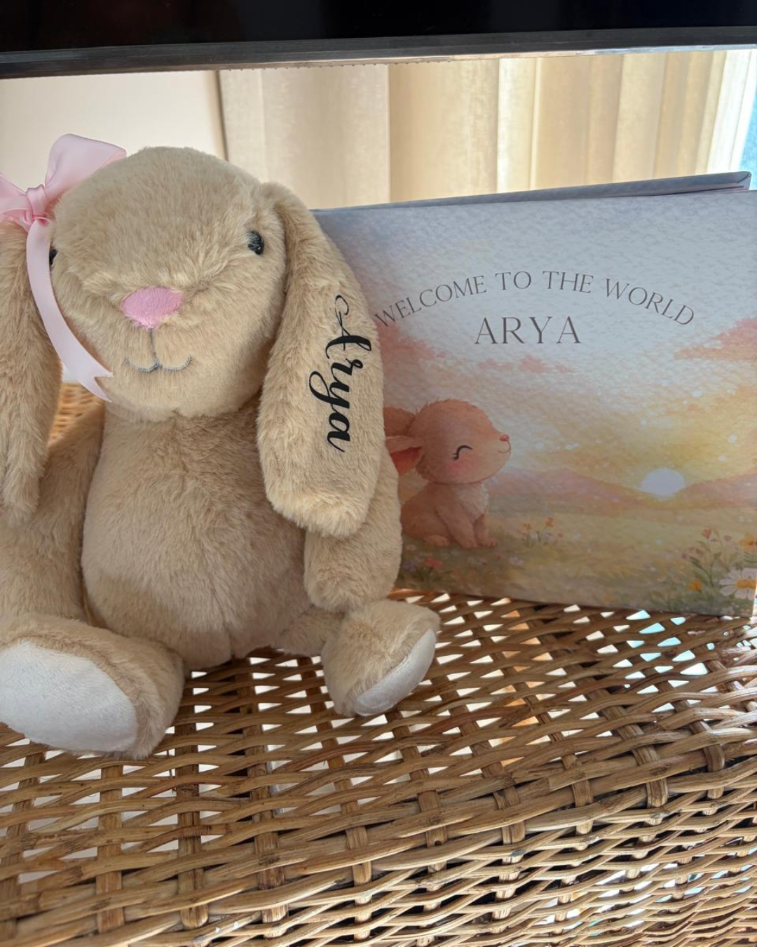 Welcome to the world book with bunny