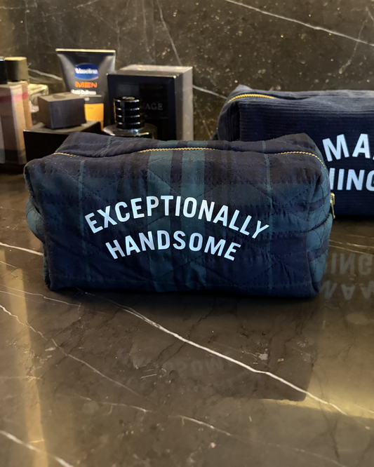 Exceptionally Handsome Utility Pouch